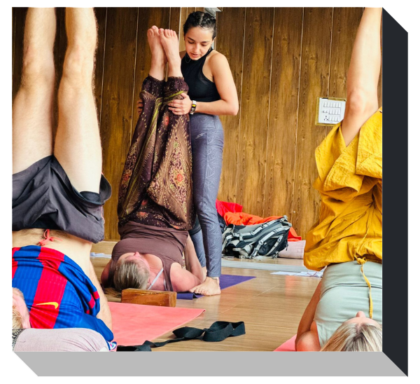 Why Choose Shree Maha Yoga School