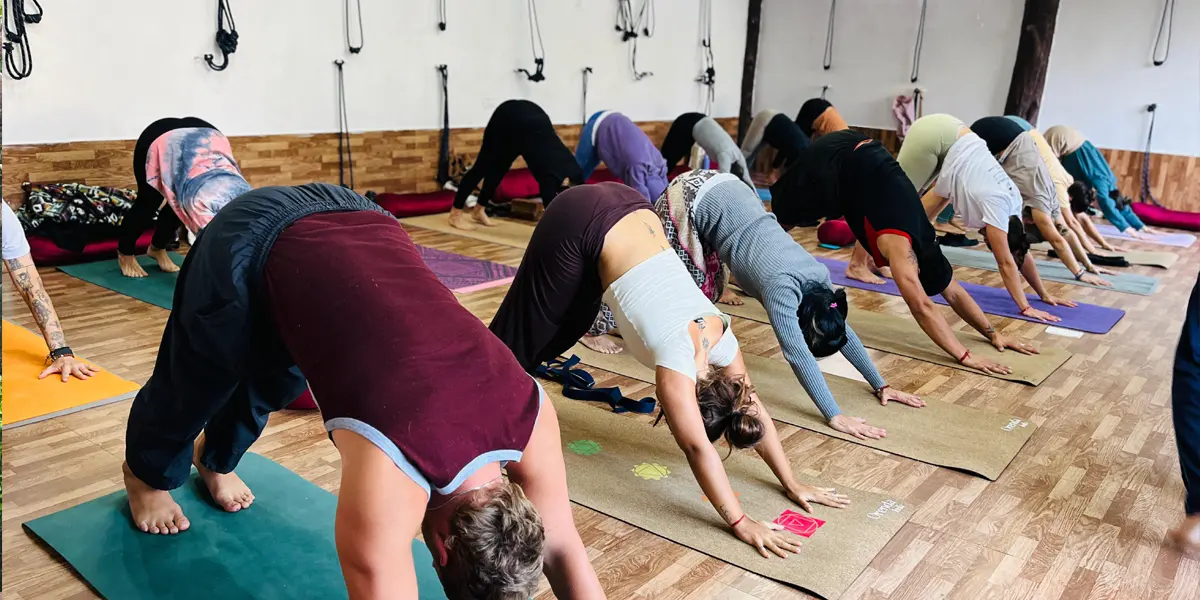 100 Hour Yoga Teacher Training in India
